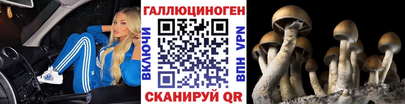 Псилоцибиновые грибы Cubensis  кракен   Ливны 